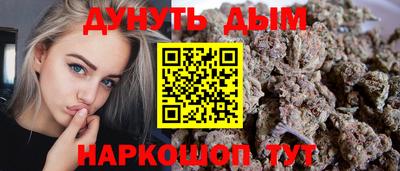 сатива Новозыбков