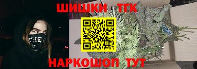 сатива Новозыбков