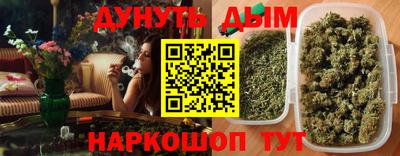 сатива Новозыбков