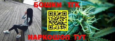 сатива Новозыбков