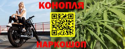 сатива Новозыбков