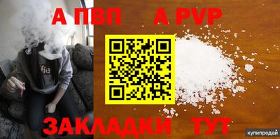 сатива Новозыбков