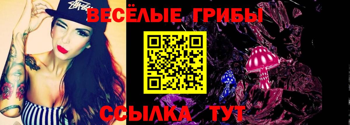 Галлюциногенные грибы Psilocybe  Вход с VPN  Галлюциногенные грибы Magic Shrooms  Сергиев Посад 